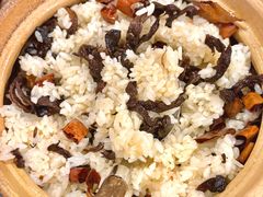 -阿山卓·野生菌火锅·纳西火塘烤肉