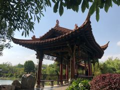 -洛龙公园