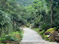 -深圳仙湖植物园
