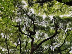 -晓港公园