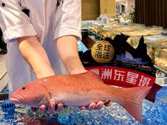 -喜宴又一村·粤菜·茶点·海鲜(壹方天地店)