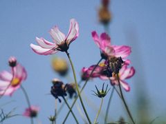 -南京中医药大学(仙林校区)