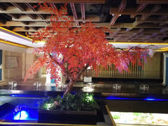 -天津瀚金佰九号温泉酒店(南楼地铁站店)