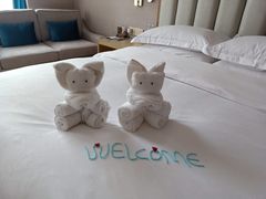 -圣爵菲斯大酒店(长沙世界之窗店)