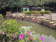 -云洞岩风景区