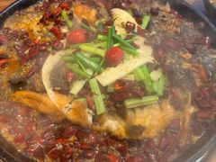 -老板恋上鱼(恒隆广场店)