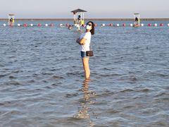 -碧海金沙