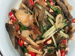 -大榕树下顺德菜(融创茂店)