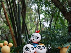 -广州长隆野生动物世界