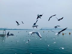 -蠡湖大桥公园