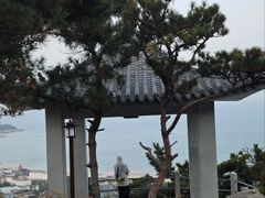 -崂山仰口游览区