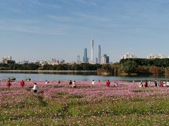 -海珠湖公园