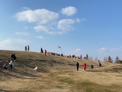 -滆湖低碳生态公园