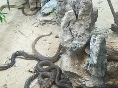 -荔城生鲜盛宴(番禺旗舰店)