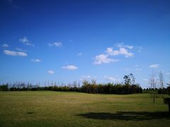 -上海崇明金茂凯悦酒店