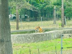 -秦皇岛野生动物园