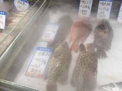 -闽海肴(北辰荟店)