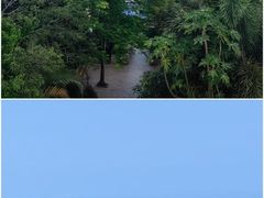 -亚龙湾热带天堂森林公园