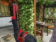 -漕河全驴宴饭店(徐水店)