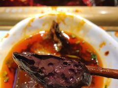 -雾都渣渣火锅(南城智汇城店)
