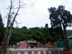 大雄宝殿无叶片-灵光寺