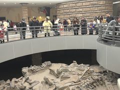 -自贡恐龙博物馆