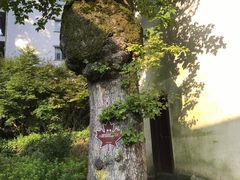 -太湖源风景区