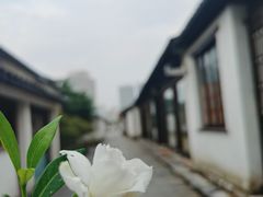 -青果巷历史文化街区