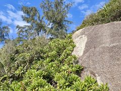 -广东惠东海龟国家级自然保护区