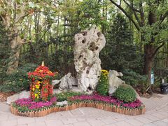 -上海共青森林公园