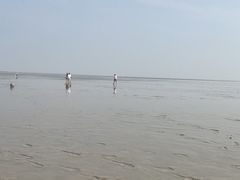 -南汇嘴观海公园