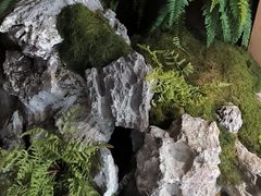 -巢爷老味(东方红店)