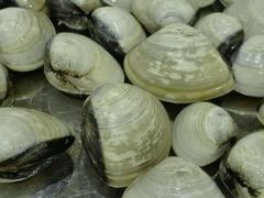 -顺德一品粥·20年凤城老字号(芳村店)