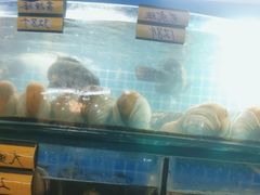 -望海潮海鲜店 特色家常菜(在海一方店)