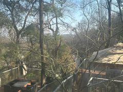 景观位-润泽天·匠道湘菜(岳麓山店)