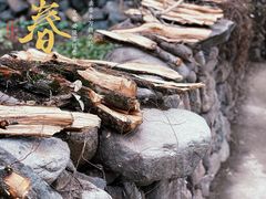 -鹿亭中村