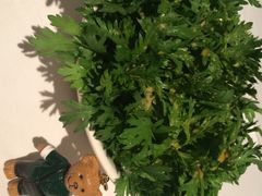 iphone_upload_pic-荣府宴(南阳路店)