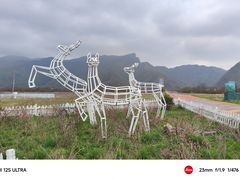 -大九湖