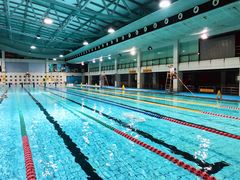 -小海豚国际游泳培训中心(浦东塘桥店)