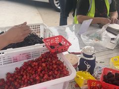 -桃源山庄·摘樱桃·柴火鸡·烧烤团建(龙泉山店)