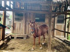 -驿舍·民國老营房院子私房菜(科学会堂店)