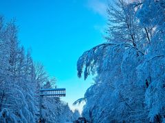 -长白山红松王滑雪场
