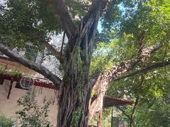 -阿一猪红汤(总店)