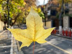 -颐和路民国时期公馆风貌区