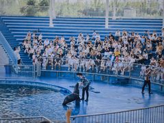 -华夏文旅海洋公园