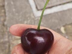 -红星农博物流中心
