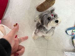 -FAELING PETS美天灵宠物(合生汇店)