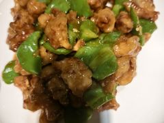 -鸽子窝(青塔店)