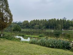 -洋湖国家湿地公园
