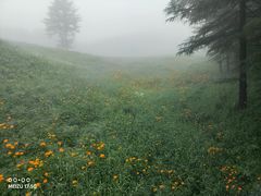 -驼梁风景区